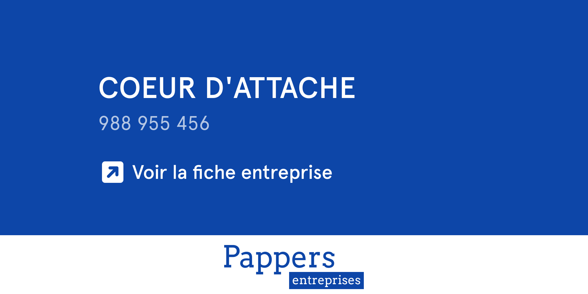 Société COEUR D'ATTACHE : Chiffre d'affaires, statuts, extrait d