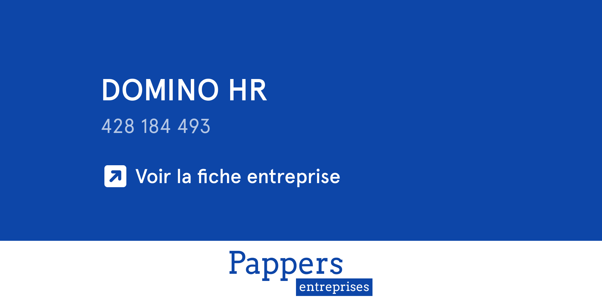 Société DOMINO HR Chiffre d'affaires, statuts, extrait d'immatriculation